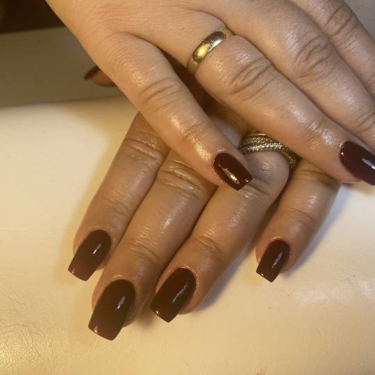 Lash and Brow studio usluga