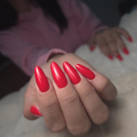 Daniva brow and beauty usluga