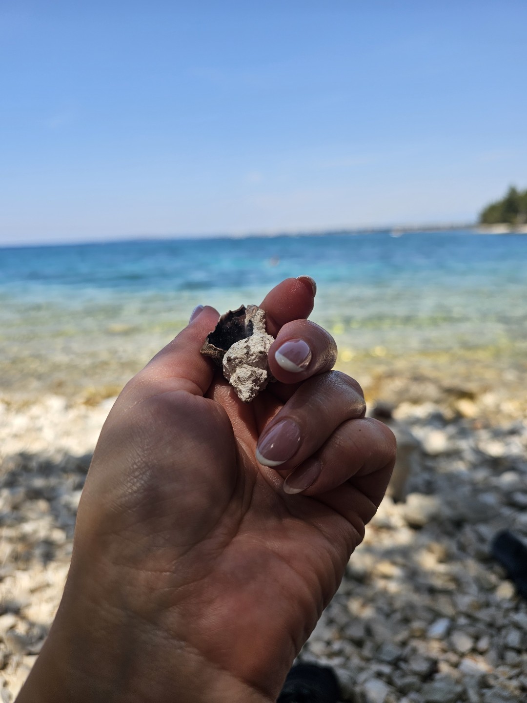 S M Beauty Bloom #zadar Manikura Trajni lak + french - ruke