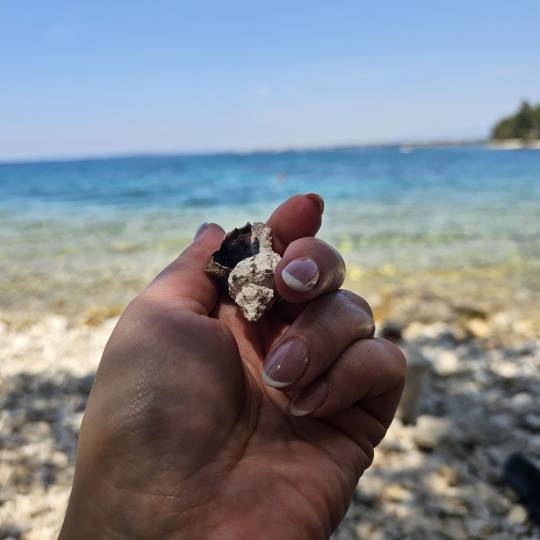 S M Beauty Bloom usluga