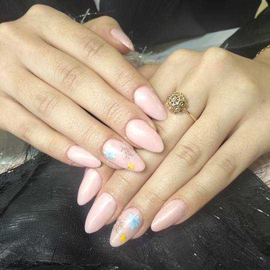 Manicure Biobeauty Split #split