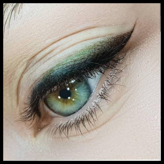 Fancy Ladies #zagreb Trajna šminka PMU - gornji eyeliner sjenčani