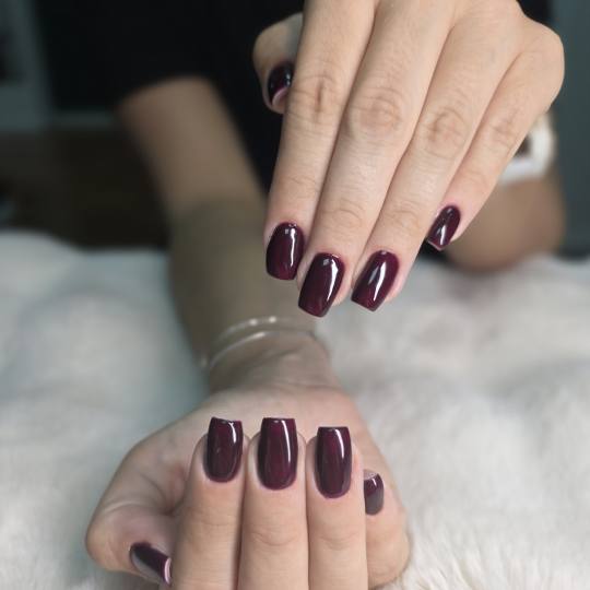 Daniva brow and beauty usluga