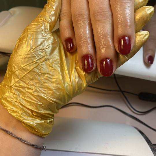 Lash and Brow studio usluga