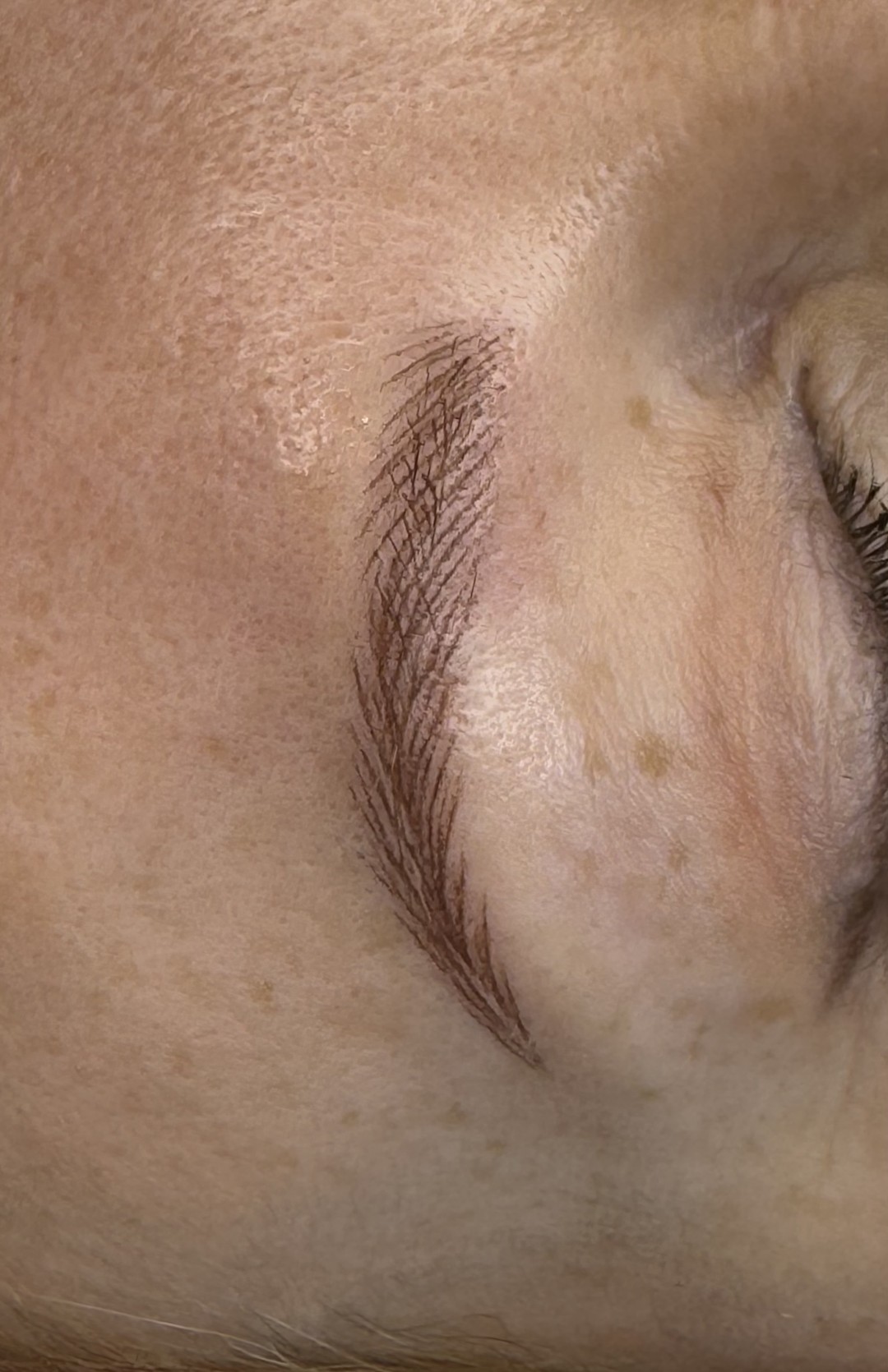 Vanja’s Beautique #zagreb Obrve Trajna šminka hiperrealizam obrva + korekcija obrva - do 60 dana