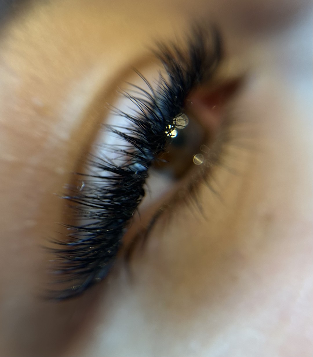 Ema Jokić Beauty & Lashes Academy #zagreb Trepavice Ugradnja trepavica