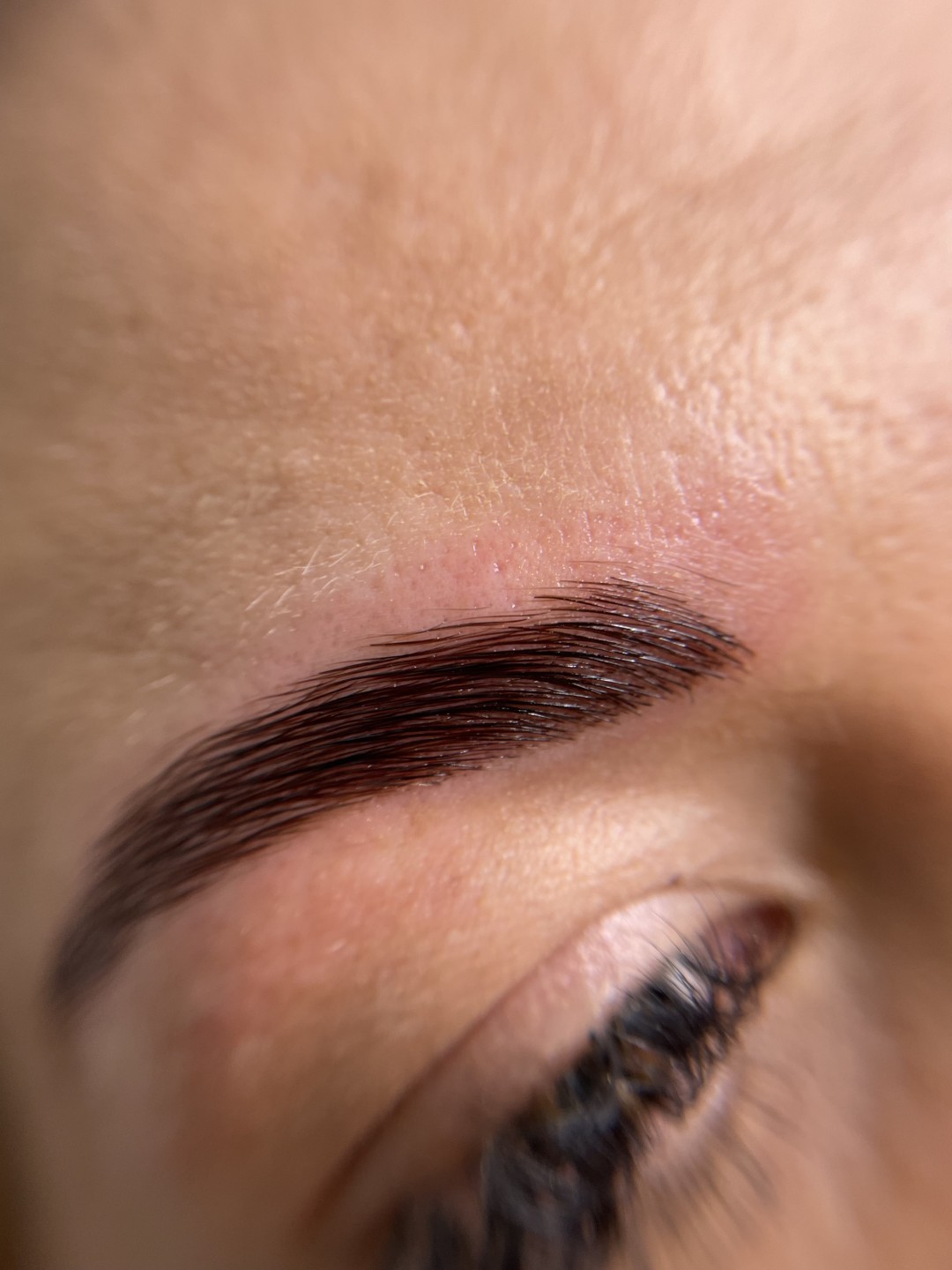 G. Beauty #zagreb Obrve Brow lamination + bojanje obrva