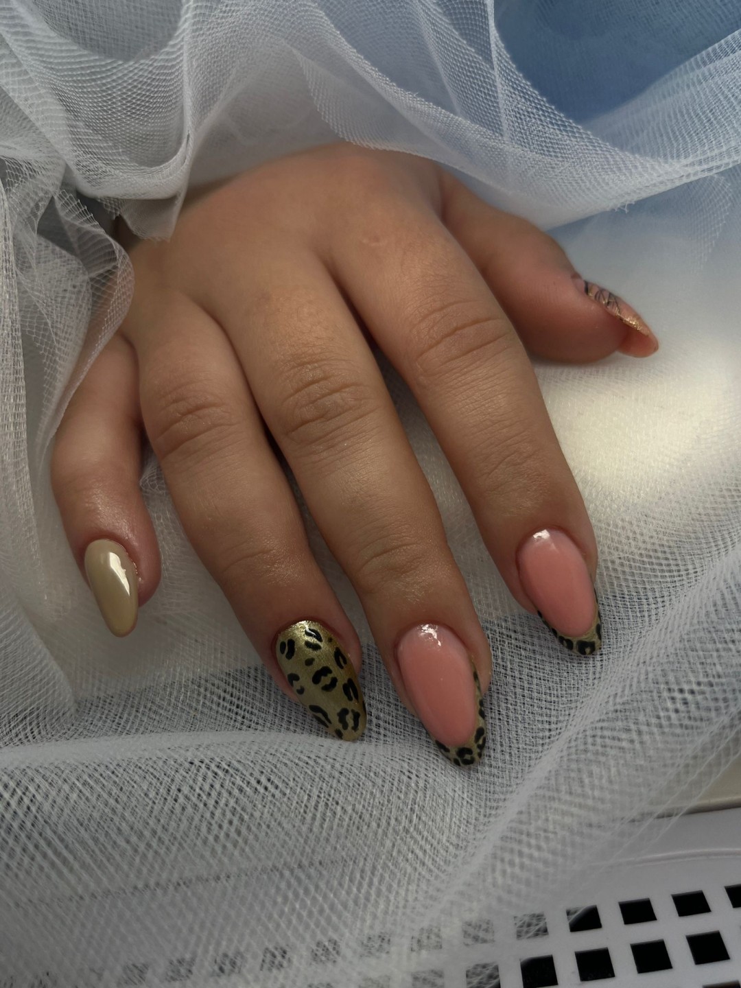 Stellaria beauty studio #velika-gorica Ukrašavanje noktiju French crtani