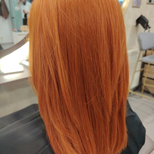 Style 1 #zagreb Bojanje kose Bojanje cijele dužine - duga kosa