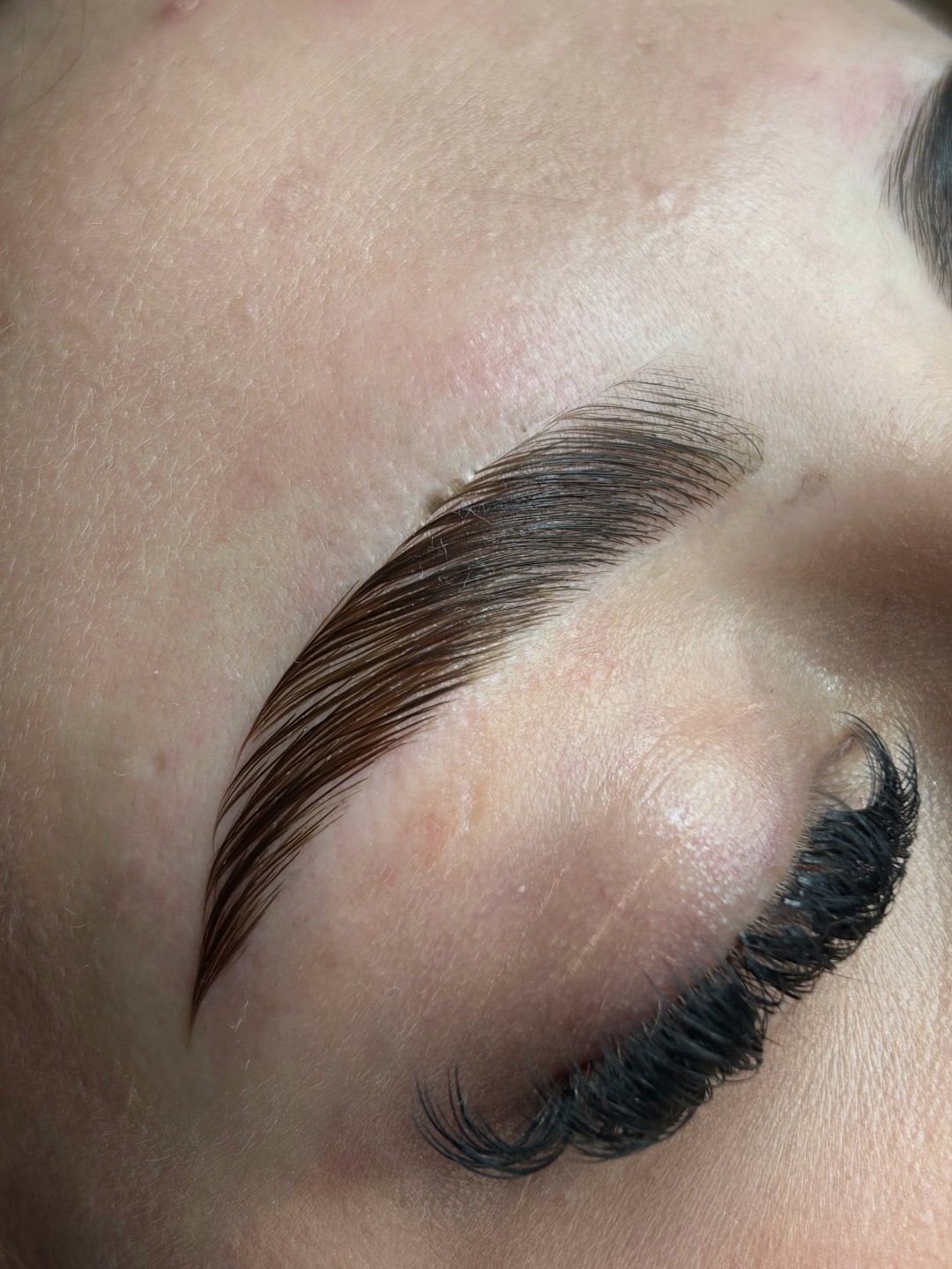 Zen Spot #zagreb Obrve Brow lift + bojanje obrva