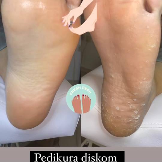 Lash and Brow studio usluga