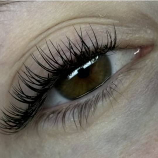 Sis Beauty Room #zagreb Nadogradnja trepavica Ugradnja klasičnih trepavica