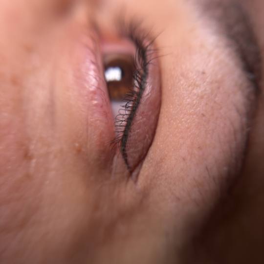 Stellaria beauty studio #velika-gorica Trajna šminka Eyeliner klasični